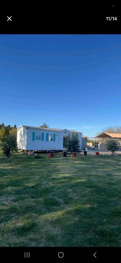 Mazet D El Gato Campsite Arles